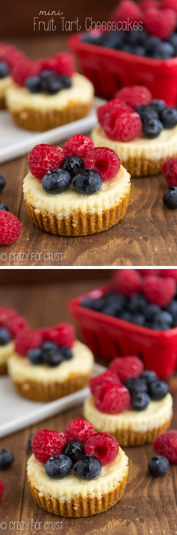 Mini-Fruit-Tart-Cheesecakes